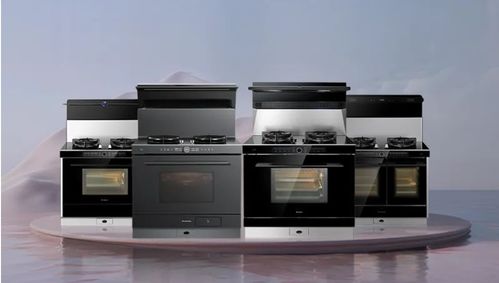 集成烹饪中心走红 厨电市场的机遇与集成灶企业的战略迷思